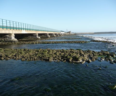 Malahide, Irlandia